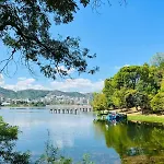 Oasis Near The Lake