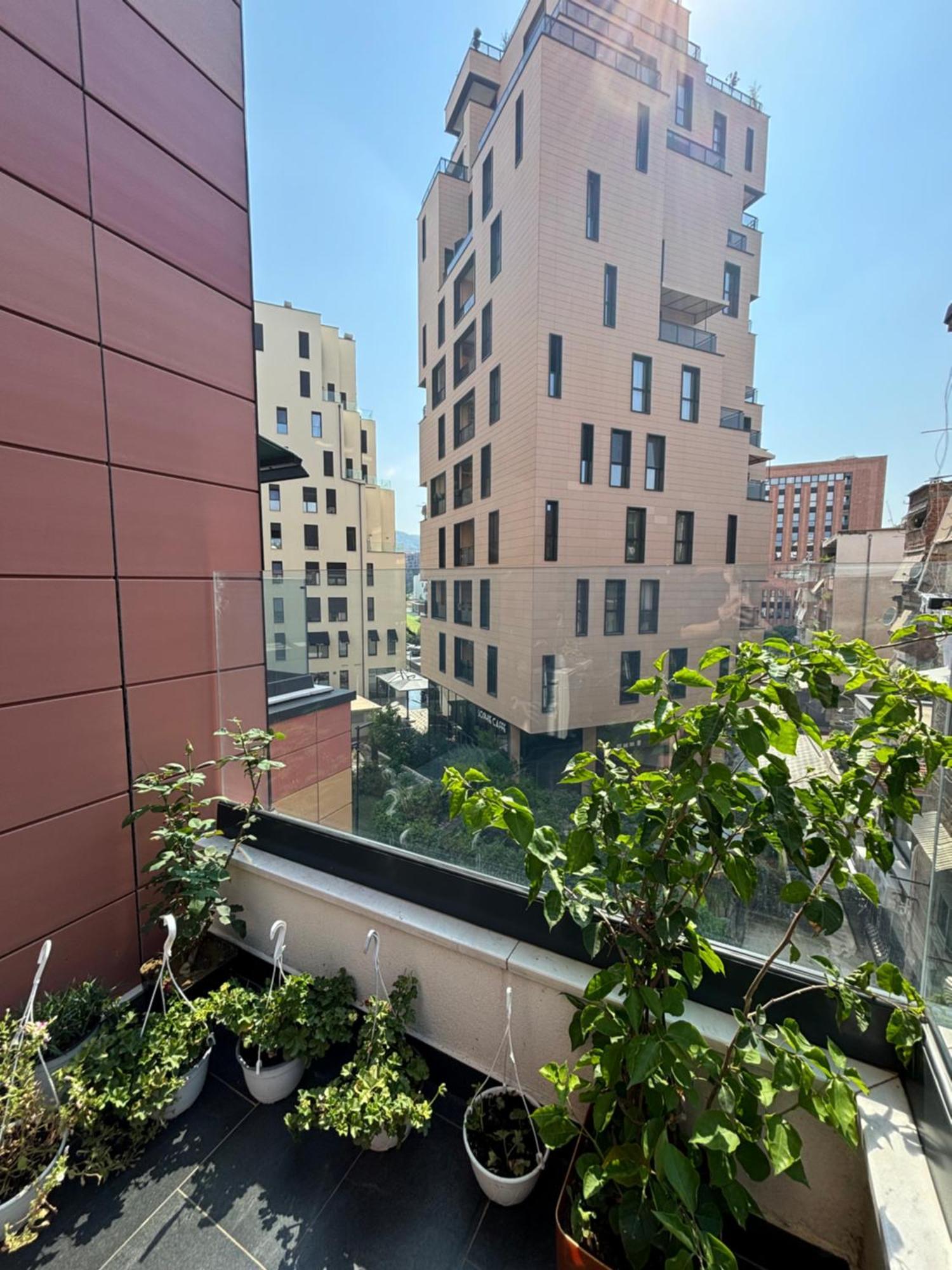 Oasis Near The *